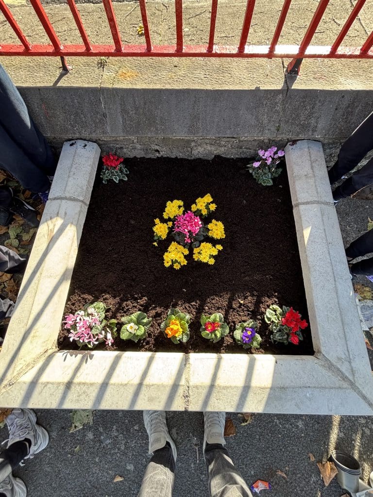 Flower beds