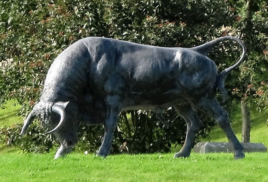 The Brown Bull of Cooley