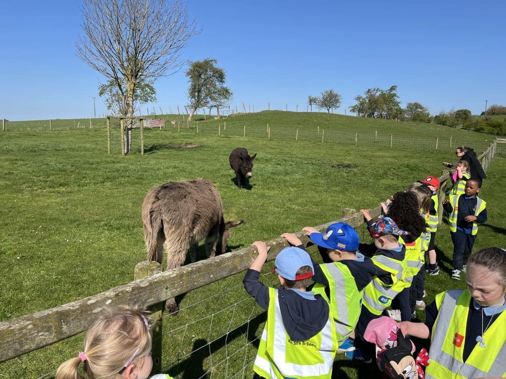 School Tour to The Farm