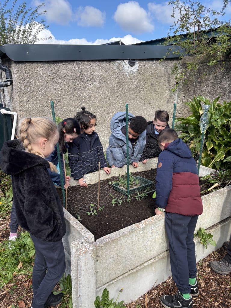 Our Spring Gardening Adventures