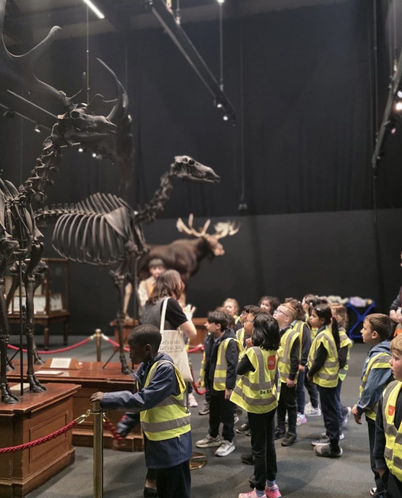 'Dead' Museum Trip