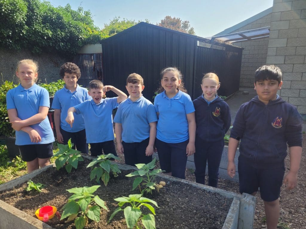 Summer days in the school garden